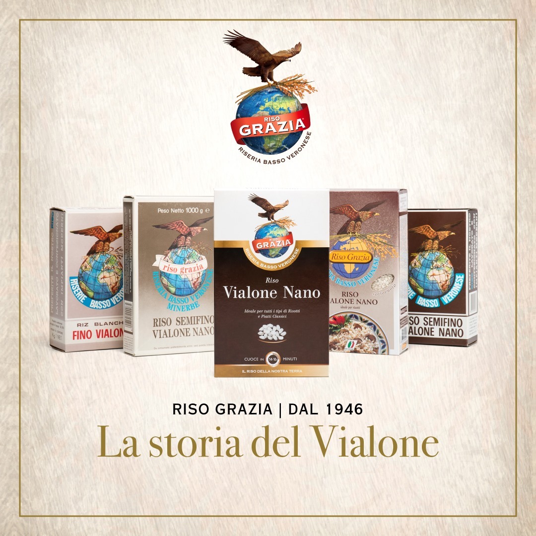 immagine schema vialone nano