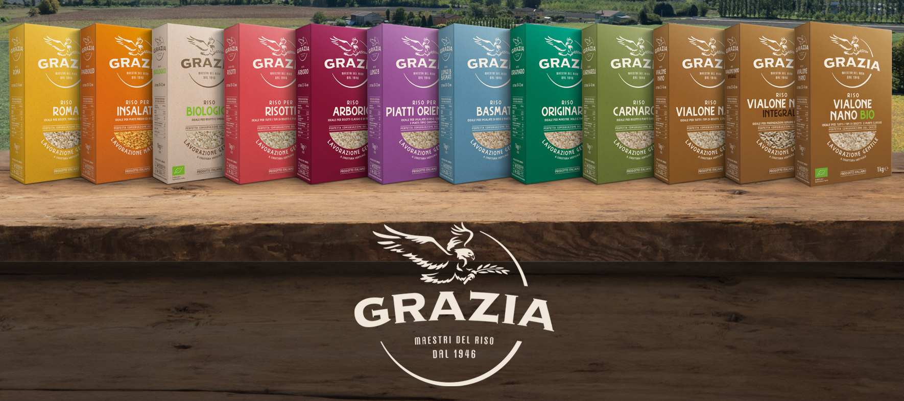 Foto Gamma Riso Grazia 1 e1790349032348