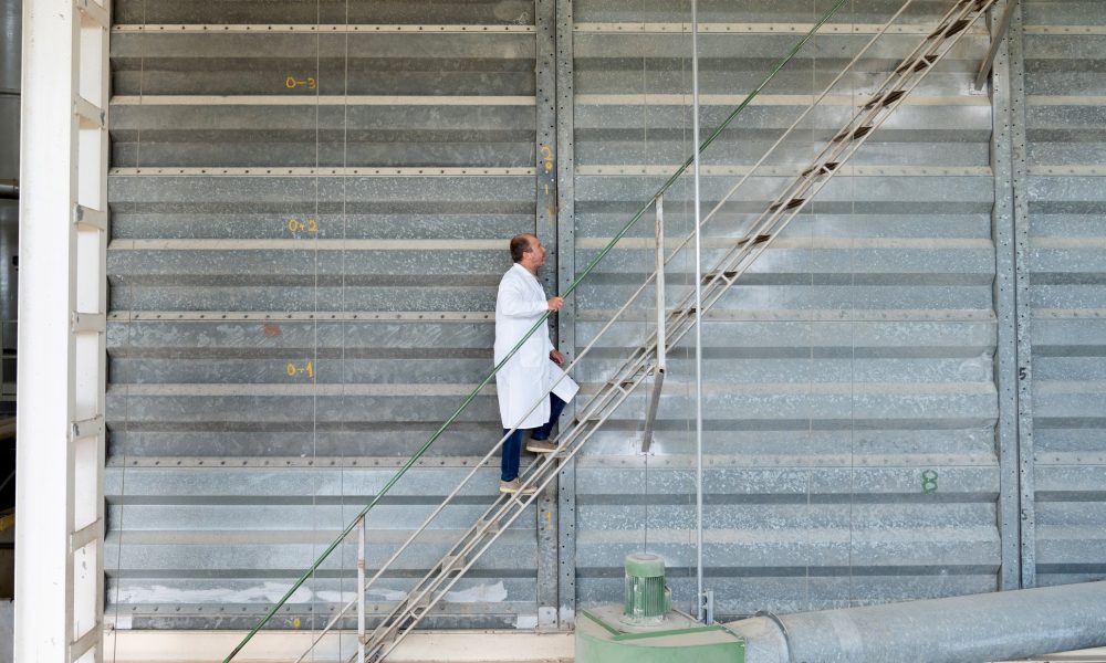 la sicurezza ell'impianto risograzia