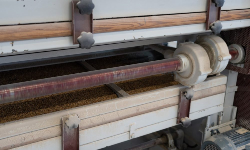 tradizione e qualità fiori all'occhiello di riso grazia