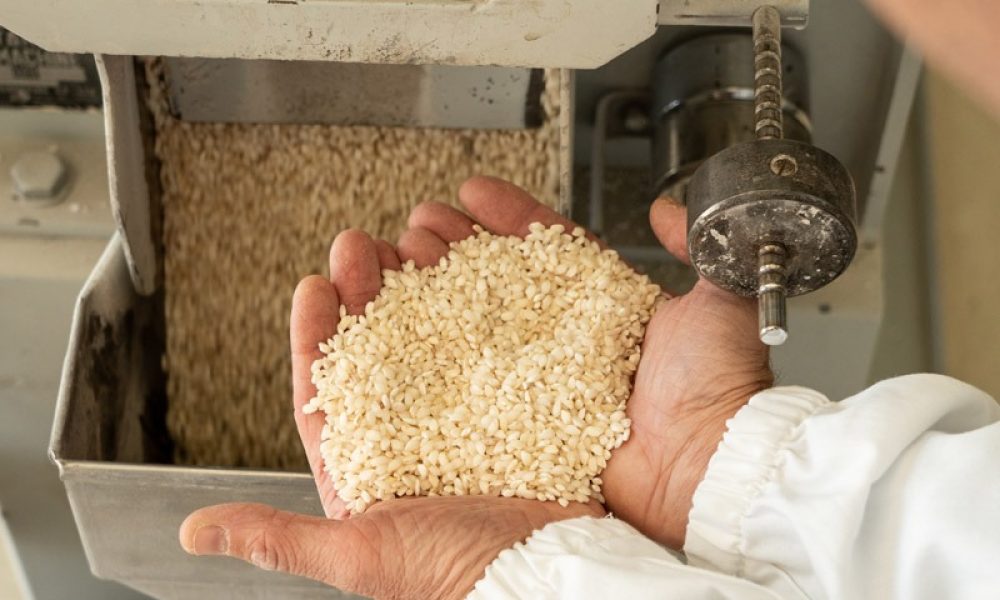 il riso appena lavorato